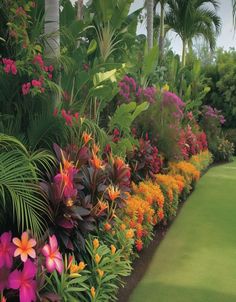 colorful flowers line the side of a long row of palm trees and other tropical plants