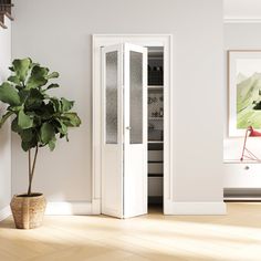 a potted plant sitting next to a white door in a room with hardwood floors