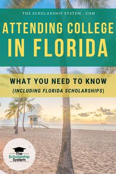 a palm tree on the beach with text reading attending college in florida what you need to know