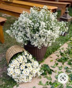 some white flowers are sitting in a basket on the ground next to a wooden bench