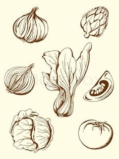 hand drawn vegetables and fruits on a white background stock photo colouring, vegetable illustration, food illustrations, drawing sketches, art drawings, graphic design projects, sketchbook pages, doodles, person, fruit, apple cidle pen, ink, pencils, watercolor paper, clip