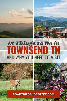 the top things to do in townsend tn and why you need to visit them