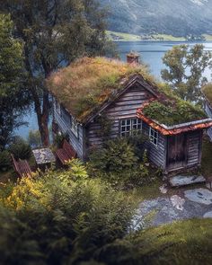 Build Your Own Cabin, Turf Roof, Turf House, Landscaping Images, Tiny Cabins, Mountain Living, Cabin Style, Cabin In The Woods, Cabins And Cottages