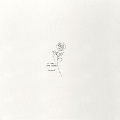 a single rose is shown on a white paper