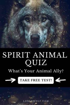 a wolf with the words spirit animal quiz what's your animal ally? take free test