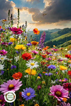 Colorful wildflower field, English countryside estate photo Summer Flowers Painting, Wild Flower Garden Ideas, Georgia Wildflowers, Wildflowers Colorado, English Wildflowers, Wild Flowers Photography, Uk Wildflowers, Wild Flowers Uk, Wild Flowers Garden