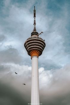 a tall tower with a bird flying around it