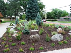 a rock garden in the middle of a sidewalk