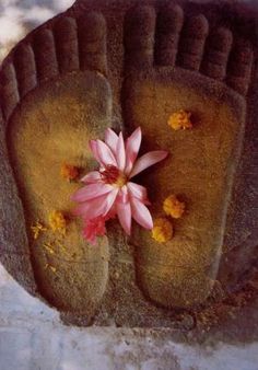 a pink flower sitting in the middle of a pot with dirt on it's sides