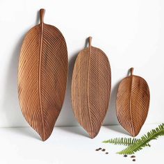 three wooden leaves are hanging on the wall next to coffee beans and a fern leaf