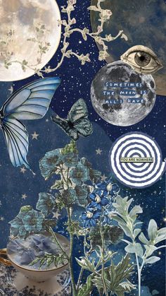 an artistic collage with butterflies, flowers and moon in the night sky above them