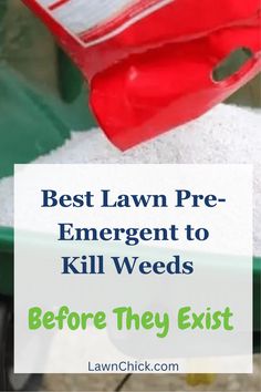 the best lawn pre - emerger to kill weeds before they exit