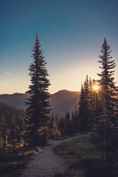 the sun shines brightly through the trees as it rises above the mountain range in the distance