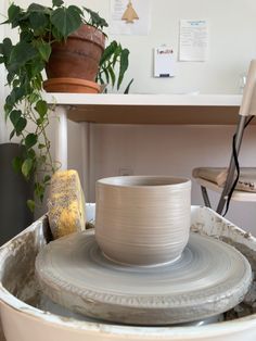 a pottery wheel sitting on top of a table next to a potted plant