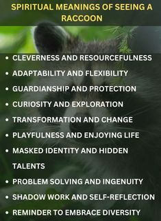 Raccoon Spiritual Meaning, Raccoon Symbolism, Hidden Talents, Animal Spirit, Personal Transformation