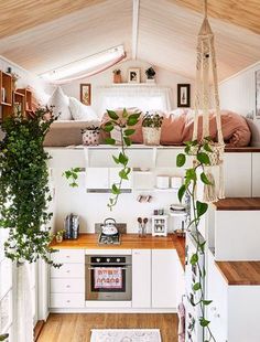 the interior of a tiny house with white walls and wood floors, plants on the stairs