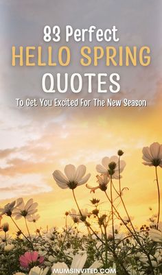 white flowers with the words'98 perfect hello spring quotes to get you excited for the new season