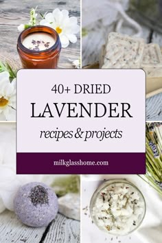 lavender recipes and projects with text overlay