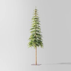 a tall pine tree is shown in the middle of an empty room with white walls