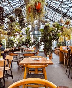 the inside of a restaurant with tables, chairs and potted plants hanging from the ceiling