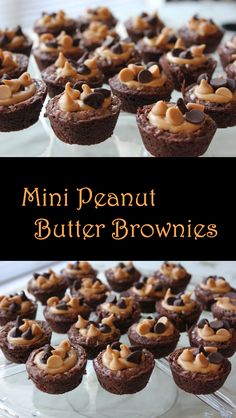 mini peanut butter brownies with chocolate chips on top and the words, mini peanut butter brownies