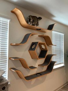 a cat sitting on top of a wooden shelf