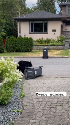 a black dog laying on the ground in front of a house with a sign that says every summer