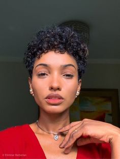 Curly Short Fro, Afro Pixie Haircut, Short 3c Curly Hair Pixie Cuts, 3c Pixie Curly Hair, Curly Pixie Haircut Black Women Natural Hair Short Cuts, Afro Pixie Cut, Pixie Haircut For Curly Hair Natural, Short Curly Haircuts Natural Black Women, Pixie Curly Haircut