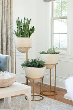 a living room filled with furniture and potted plants on top of tables in front of a window