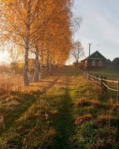 the sun shines brightly on an old farm with trees and houses in the background