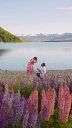 a man kneeling down next to a woman on top of a field of purple flowers