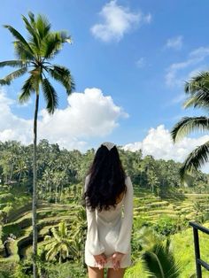 a woman standing on top of a lush green hillside next to palm trees and rice fields