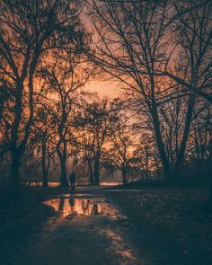 a person standing in the middle of a park at sunset with trees and water reflecting on the ground