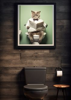 a cat sitting on top of a toilet reading a book