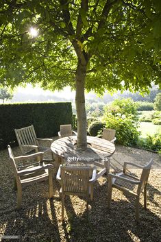 an outdoor table and chairs under a tree