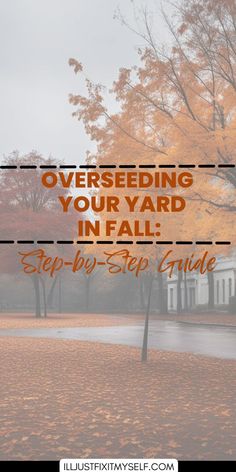 Homeowner using a spreader to overseed a yard, highlighting the steps for overseeding a lawn in the fall. How To Reseed Your Lawn In Fall, Fall Lawn Care Schedule, Reseeding Lawn Fall, Fall Grass Maintenance, Overseeding Lawn Fall, Diy Grass Fertilizer Green Lawn, Fall Yard Clean Up, Reseeding Lawn