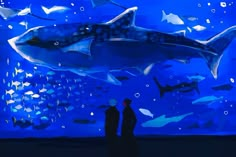 two people are standing in front of an underwater scene with sharks and other fish on it