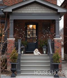 a dog sitting on the steps of a house