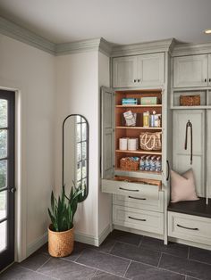 a room with some cabinets and a potted plant