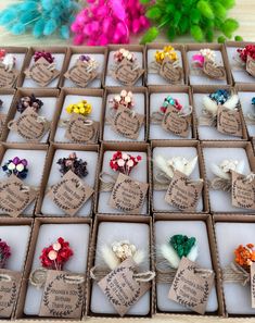 many different types of flowers are placed in small boxes with tags attached to the sides