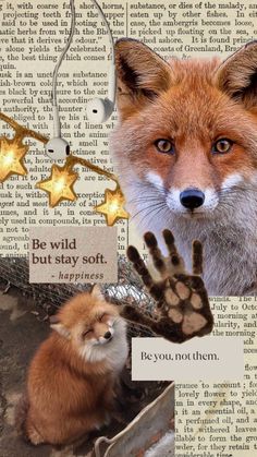 an image of a fox with its hand in front of it