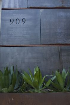 there is a planter with plants in front of a building that has the number 909 on it