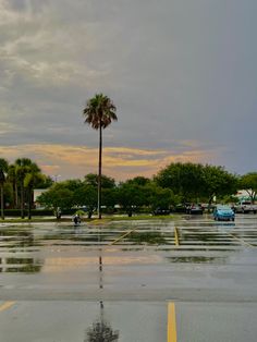 summer, florida, sunset, aesthetic, parking lot, palm trees Rural Florida Aesthetic, Central Florida Aesthetic, Trashy Florida Aesthetic, Dark Florida Aesthetic, Florida Everglades Aesthetic, Ponte Vedra Beach Florida, Florida Core Aesthetic, Florida Suburbs, Vintage Florida Aesthetic