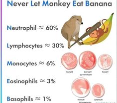 an info sheet with information on how to eat bananas