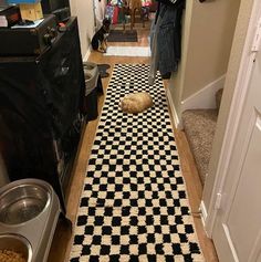 a dog that is laying down on the floor next to a cat and food dish