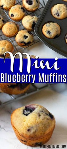 blueberry muffins cooling on a wire rack