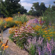 "Create a stunning native wildflower garden that celebrates local flora and supports wildlife! 🌸🌼 From vibrant poppies to delicate lupines, discover how to choose and plant wildflowers that thrive in your region. Not only will you enjoy a colorful and low-maintenance garden, but you'll also attract beneficial pollinators like bees and butterflies. 🌿🦋 #WildflowerGarden #NativePlants #EcoFriendlyGardening #PollinatorFriendly" Native Wildflower Garden, Plant Wildflowers, Wildflower Gardens, Pollinator Garden Design, Native Plant Landscape, Australian Native Garden, Bees And Butterflies, Native Plant Gardening