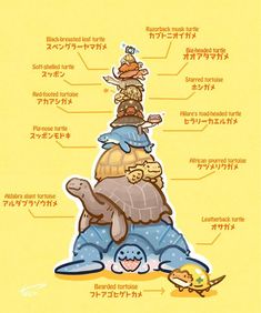 an illustrated poster showing the parts of a turtle's body and its surroundings in japanese