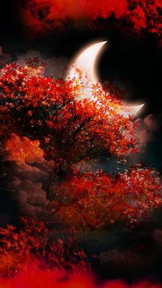 the moon is shining brightly in the night sky over some red trees and bushes with leaves on them