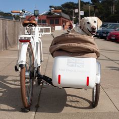 a dog sitting in the back of a bike with a blanket on it's seat